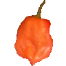 Habanero